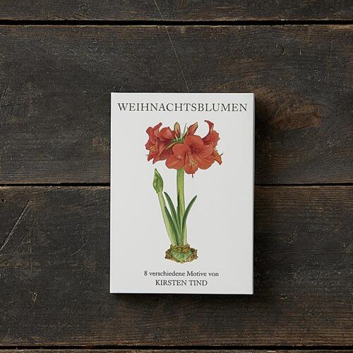 WEIHNACHTSBLUMEN - 8 cards