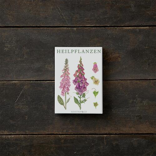 HEILPFLANZEN - 8 cards (German)