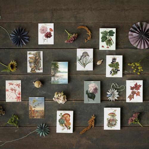 MINI CARDS - Autumn (NEW DESIGNS)