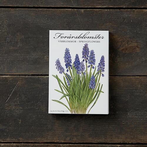 SPRING FLOWERS - 8 CARDS