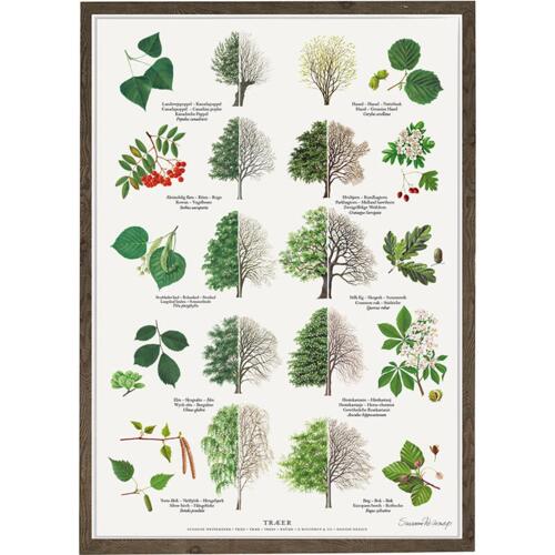 TREES - Poster A2