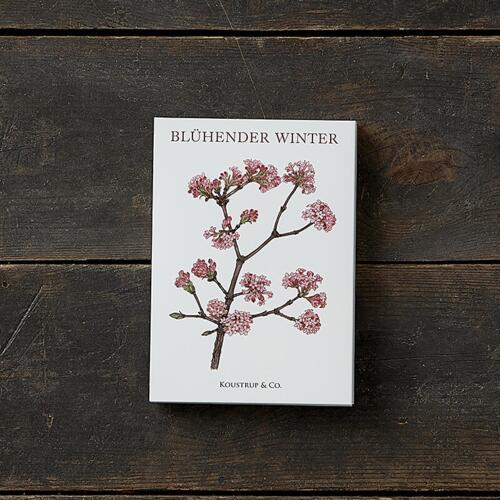 BLÜHENDER WINTER - 8 cards (German)