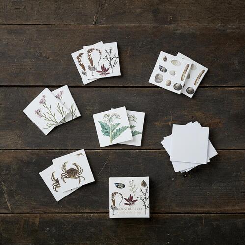 Square Mini Cards - Coastal Larder - 8.5 x 8.5 cm