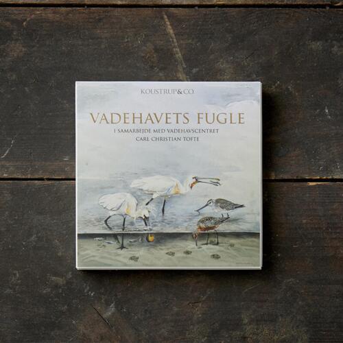 Birds of the Wadden Sea - Square card set