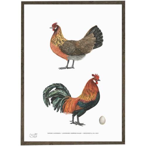 Danish Farm Hens - HENS - ART PRINT - CHOOSE SIZE
