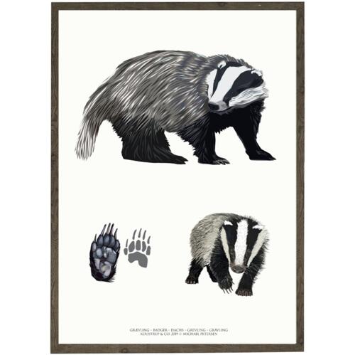 Badger art print
