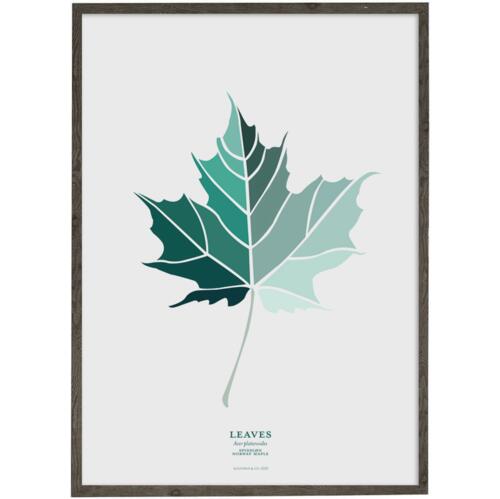 Spidsløn Leaf (petrol) - ART PRINT - CHOOSE SIZE