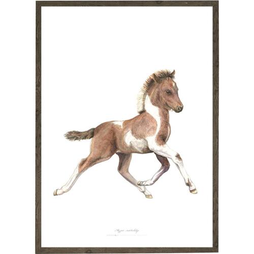 Foal - ART PRINT - CHOOSE SIZE