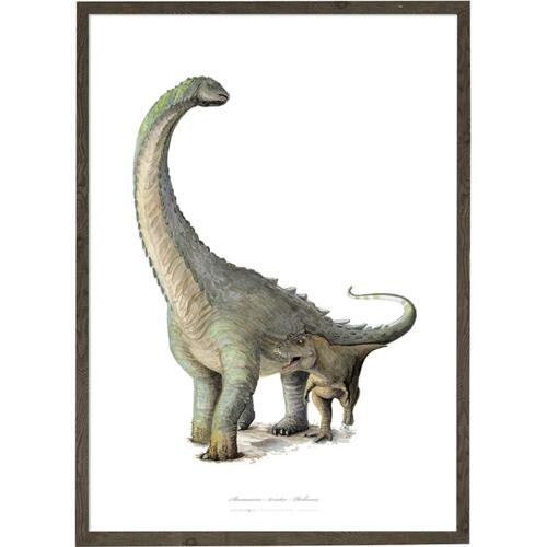 Alamosaurus - Art Print - Choose Your Size