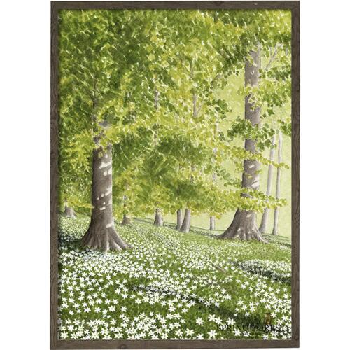 Spring forest - ART PRINT - CHOOSE SIZE
