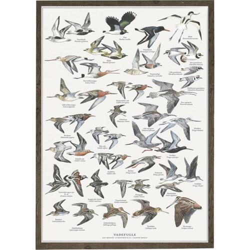 Wading Birds - A2 Poster