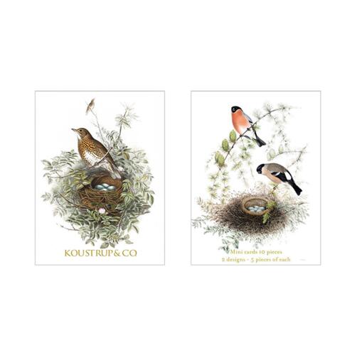 Summer Mini Cards – Song Thrush and Bullfinch