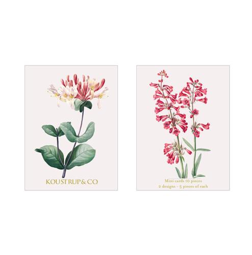 SUMMER MINI CARDS – Kaprifolium