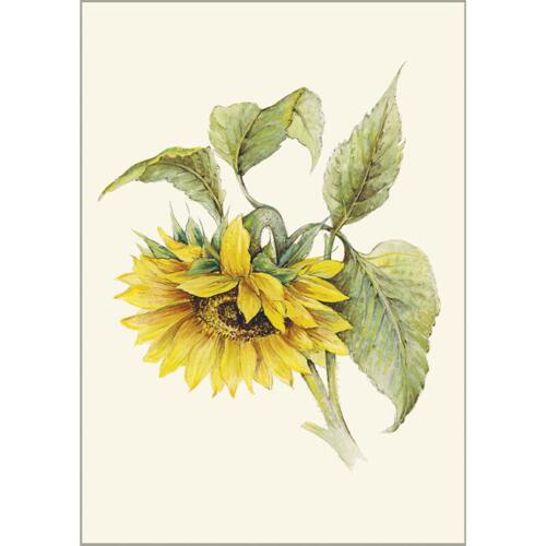 Sunflower - A5 single card