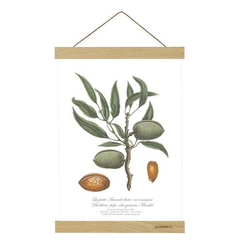 MAGNETIC RAIL A4 - Oak