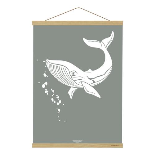 MAGNET RAIL B2 - Oak