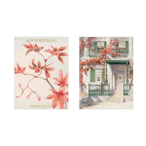 House with grapevine