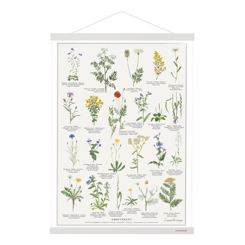 MAGNETSKINNE A2 - White - Sold out