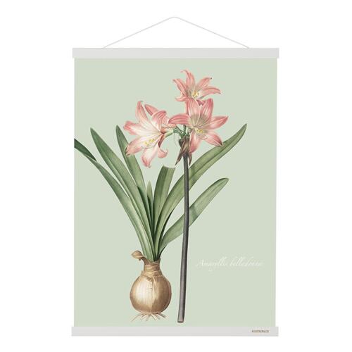 MAGNETIC RAIL B2 - White