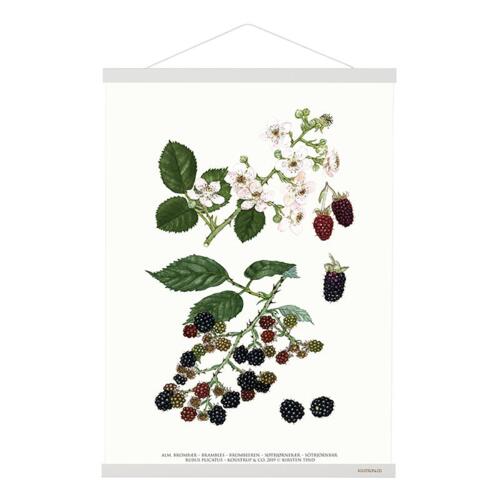 MAGNET RAIL B1 - White