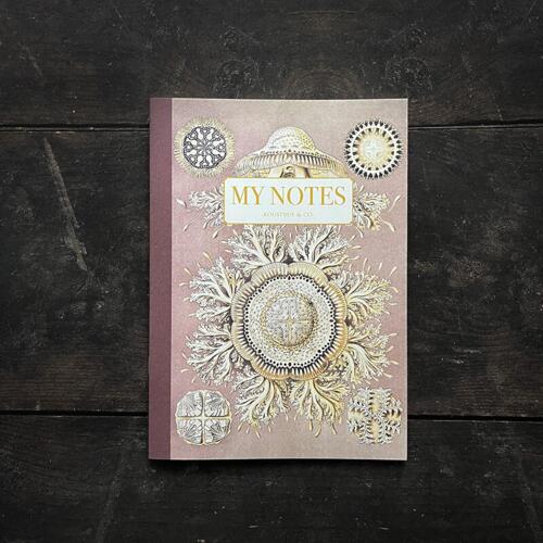 Notebook - Haeckel 2