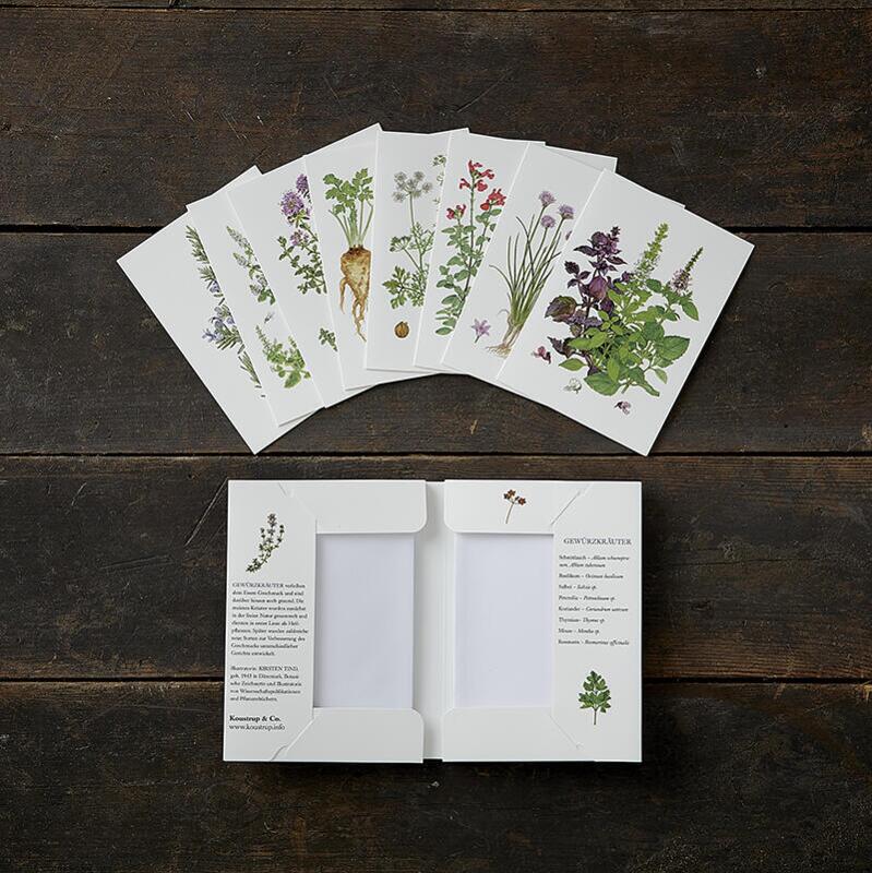 CULINARY HERBS - 8 cards (German)