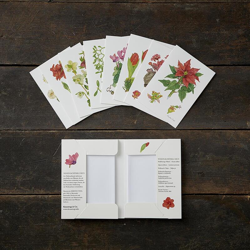 WEIHNACHTSBLUMEN - 8 cards