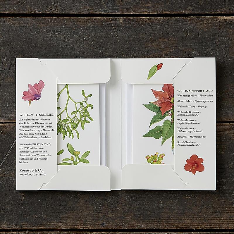 WEIHNACHTSBLUMEN - 8 cards