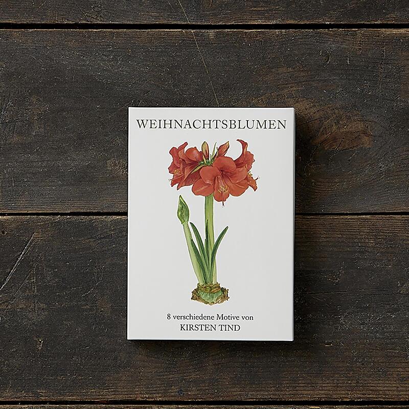 WEIHNACHTSBLUMEN - 8 cards