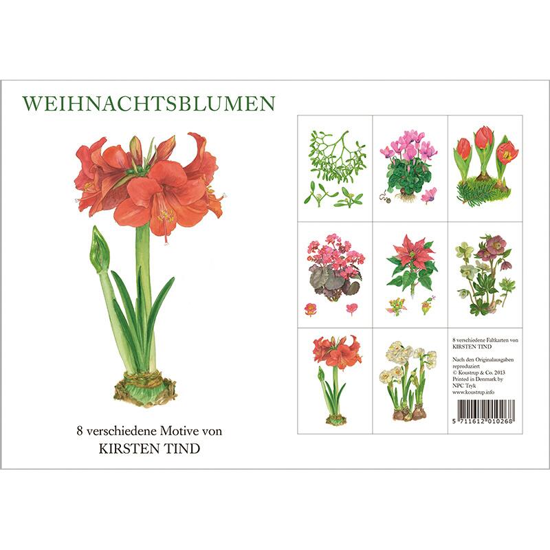 WEIHNACHTSBLUMEN - 8 cards