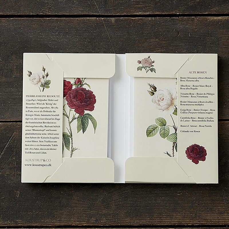 ALTE ROSEN - 8 cards (German)