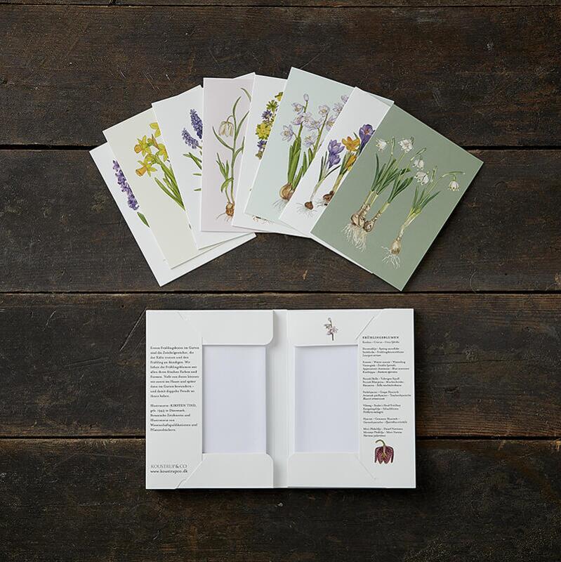 SPRING FLOWERS - 8 Cards (German)