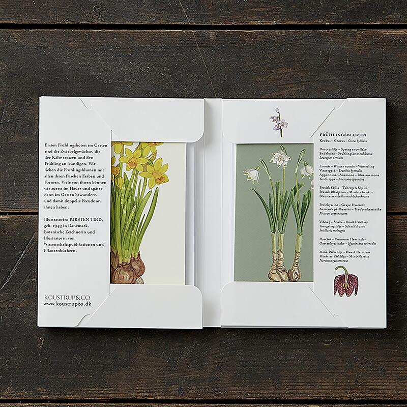 SPRING FLOWERS - 8 Cards (German)