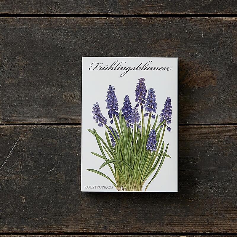 SPRING FLOWERS - 8 Cards (German)