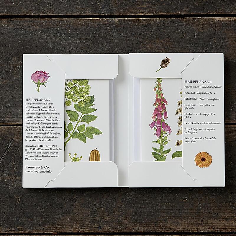 HEILPFLANZEN - 8 cards (German)