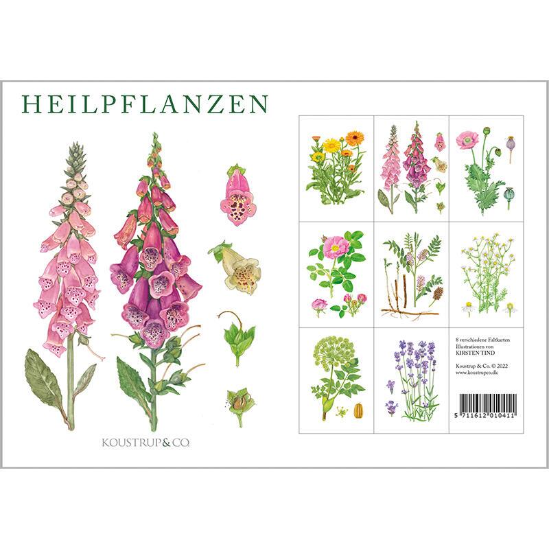 HEILPFLANZEN - 8 cards (German)