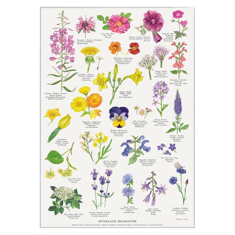 EDIBLE FLOWERS - Poster A2
