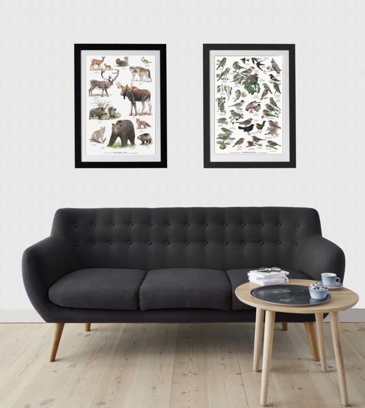 NORDENS DYR - Poster A2