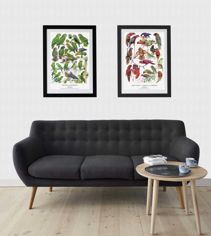 Red Parrots - A2 Poster