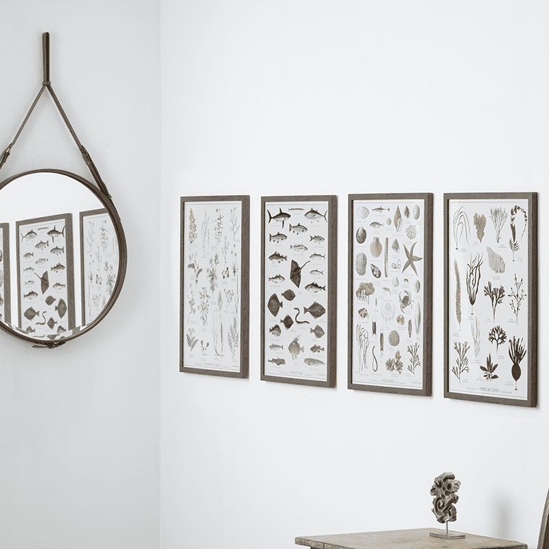 SEA FISH - A2 Poster