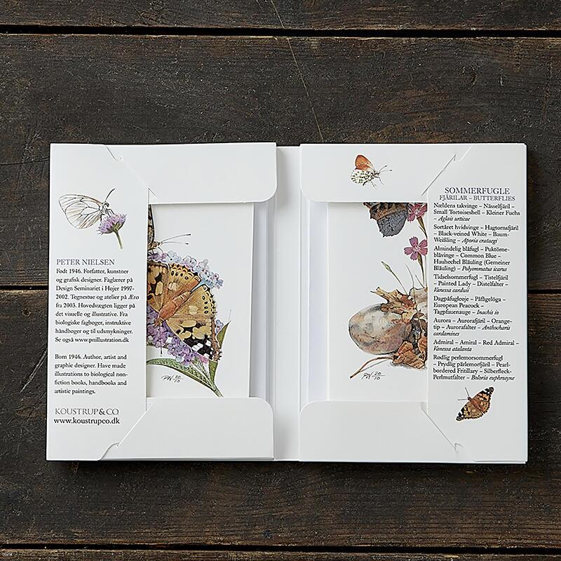 BUTTERFLIES - 8 cards
