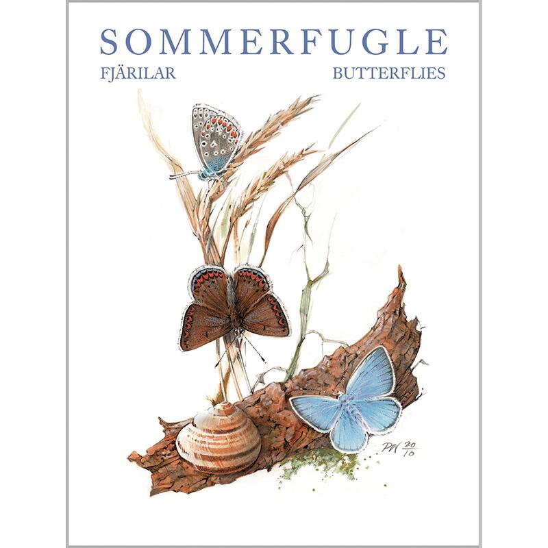 BUTTERFLIES - 8 cards