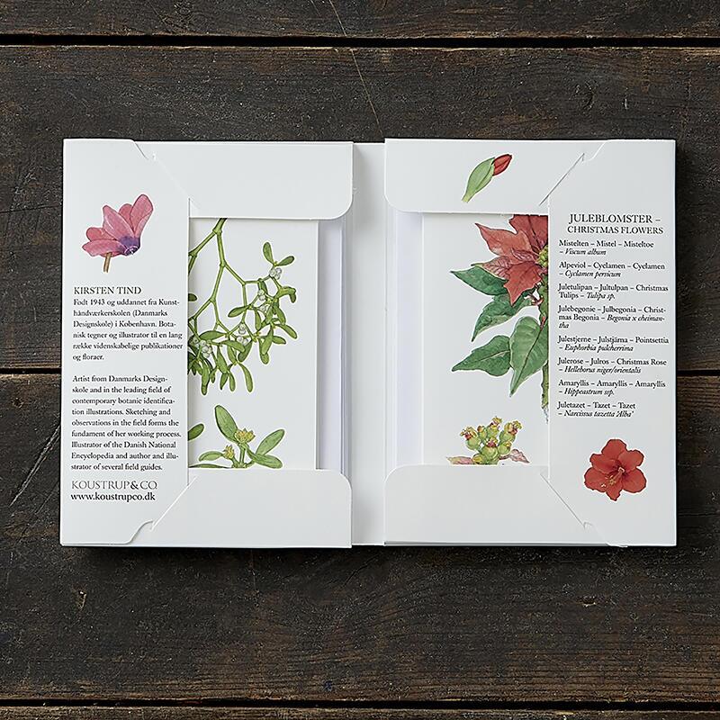 CHRISTMAS FLOWERS - 8 cards