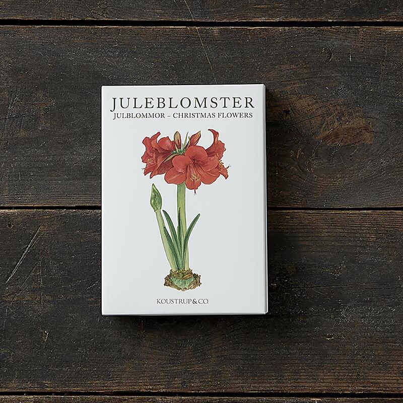 CHRISTMAS FLOWERS - 8 cards