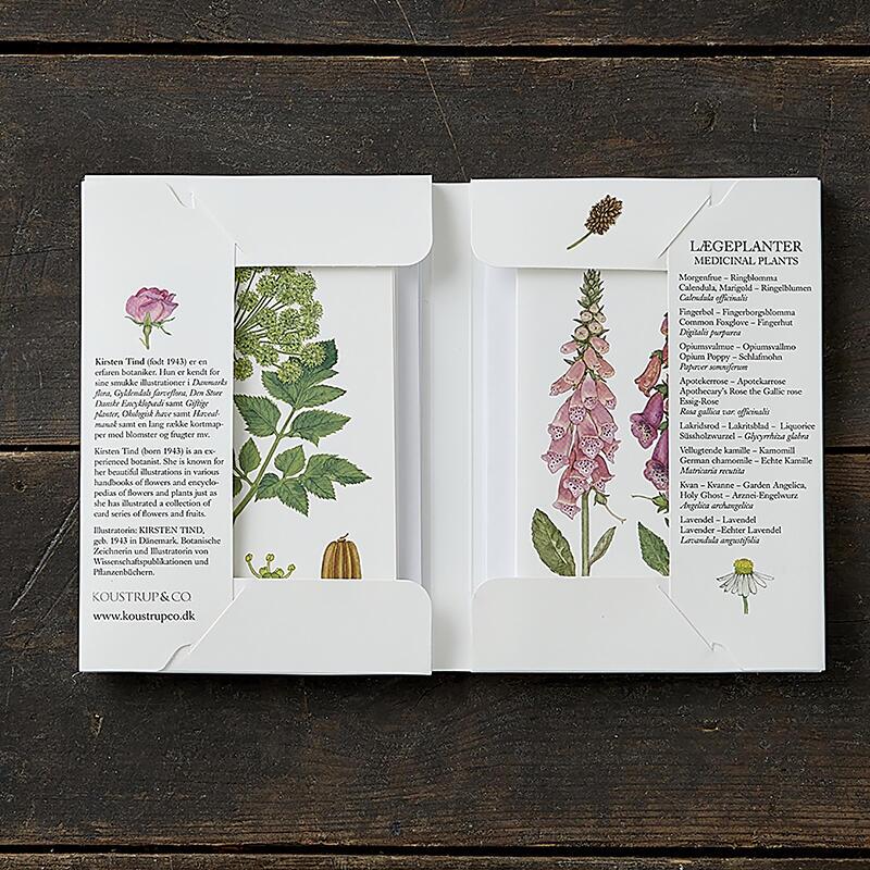 MEDICINAL PLANTS - 8 cards