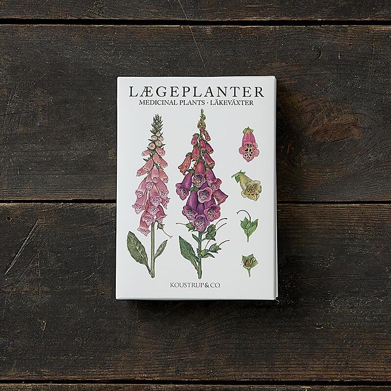 MEDICINAL PLANTS - 8 cards