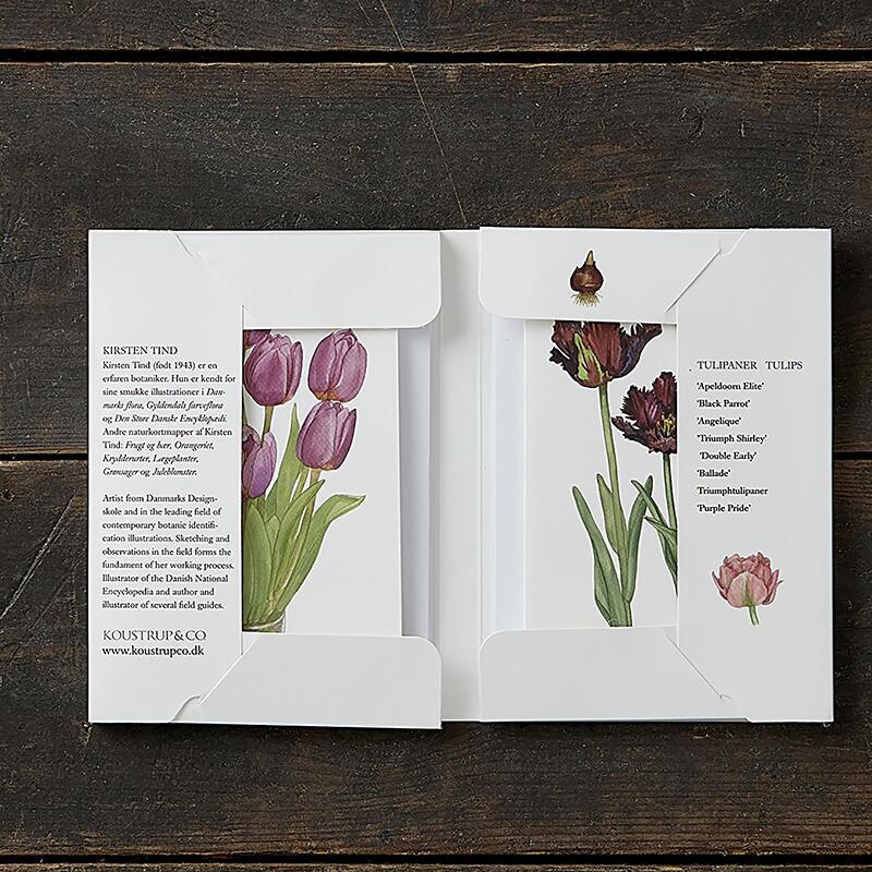 TULIPS - 8 cards