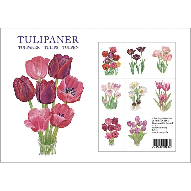 TULIPS - 8 cards