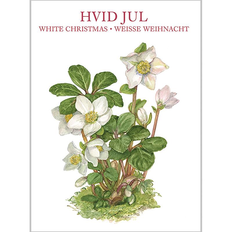 WHITE CHRISTMAS - 8 cards