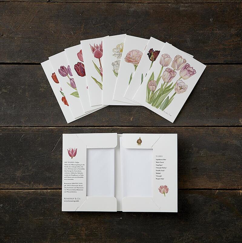 TULIPS - 8 cards (German)